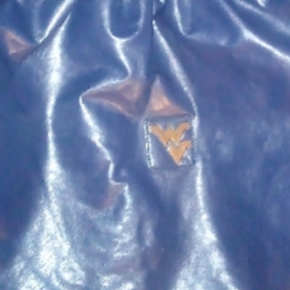 NWOT WV Mountaineer Purse 👛👜